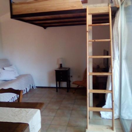 Sous Les Pins Apartment Villeneuve-les-Avignon Ngoại thất bức ảnh